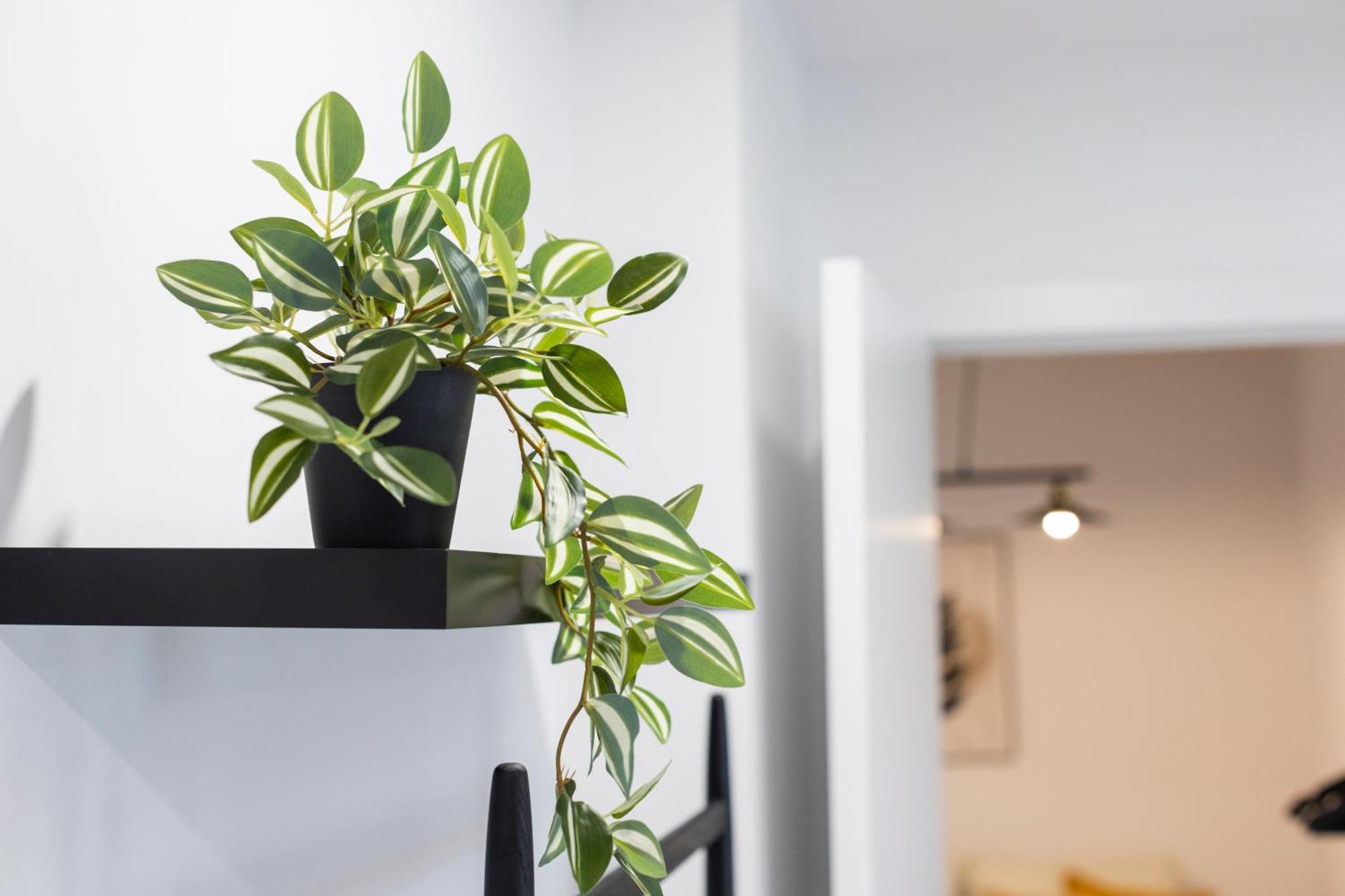Apartment Gurugu *